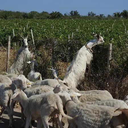 Baglio Pocoroba Séjour à la ferme Calatafimi-Segesta
